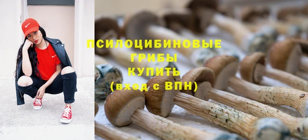 прущие крисы Нея