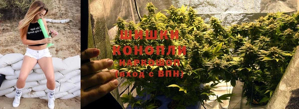прущий лед Абаза