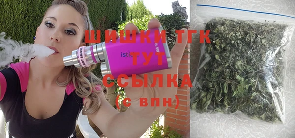 сатива Алзамай