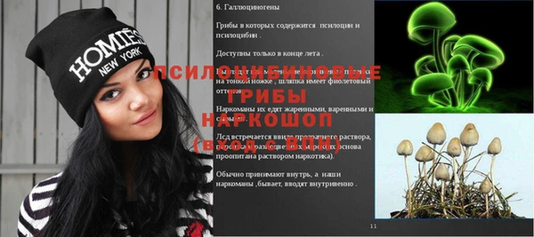 прущий лед Абаза